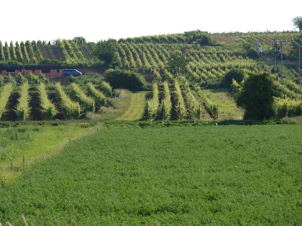 Penzion Kratochvíl Dolní Dunajovice